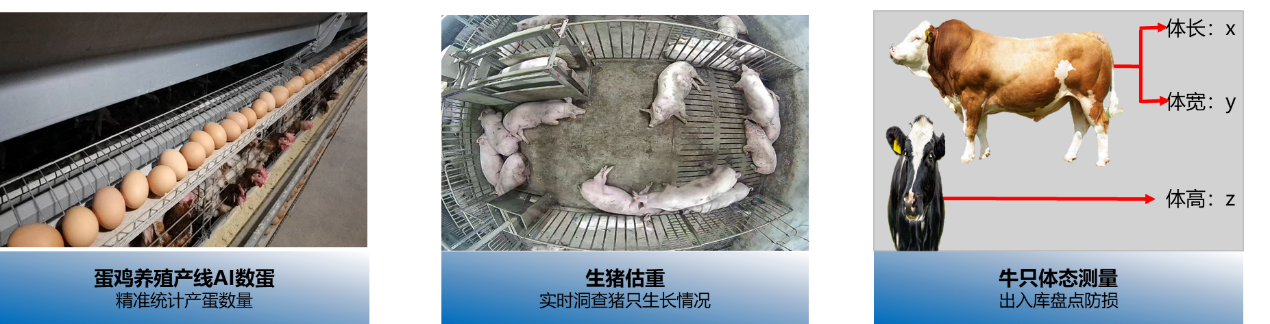 圖片關鍵詞